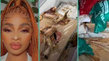 "I have lost over N300k": Woman who sells frozen food cries out over power outage, video stirs emotions