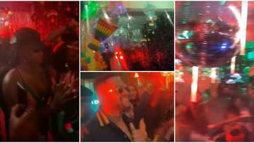 Cross, Angel, other BBNaija stars party hard as they storm Tolani Baj's reggae-themed birthday party