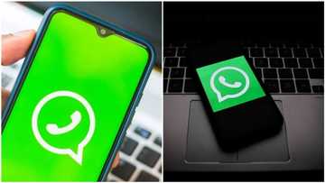 Edit messages leads list of exciting seven new and upcoming whatsapp features for iphone, android users