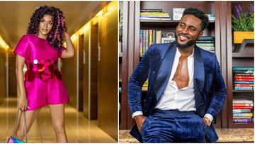 BBNaija all stars Venita gossips about Pere’s health; fans react: “Your mouth dey leak.”