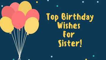 Happy birthday wishes for sister: Surprise your sister with the best birthday wishes