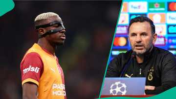 Galatasaray boss calls for rule change as Osimhen, 6 Galatasaray stars face suspension