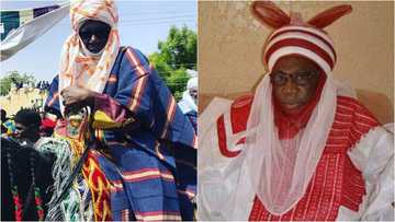 Tiryan tiryan: Yadda yan bindiga suka shiga Daura suka yi awon gaba da Magajin gari
