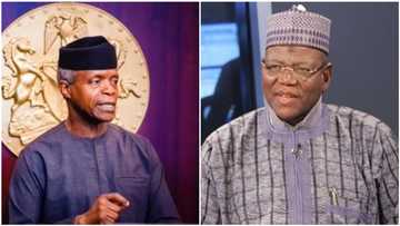 Babbar magana: Sule Lamido ya caccaki Osinbajo, Zulum da sauransu kan hasashen ɓallewar Nigeria