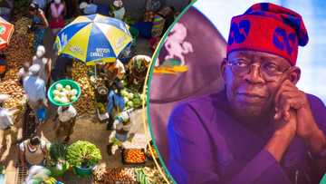 Full list: Nigeria is second-cheapest country to live in globally amid rising inflation, Forex crisis