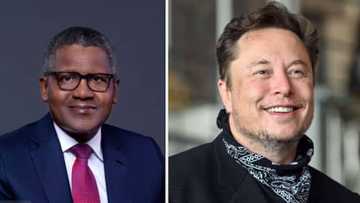 Sunayen biloniyoyi 87 na duniya: Dangote ya fi kowa kudi a Afrika, Elon Musk ya ninka shi sau 15