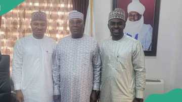Appeal court sacks Sokoto PDP lawmaker, declares election inconclusive