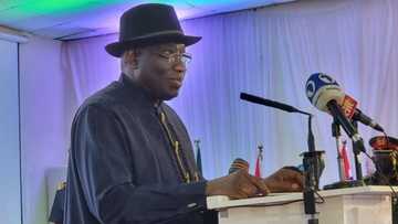 Almajiri schools: Goodluck Jonathan opens up on why Nigerian governors were not happy