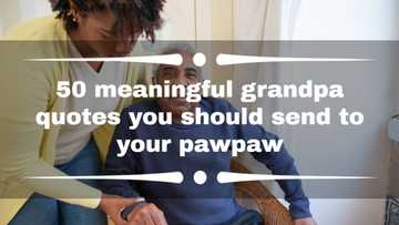 50 meaningful grandpa quotes you should send to your pawpaw