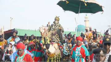 Shugaban ANAP ya yi watsi da gayyatar Gwamnan CBN a kan tsige Sanusi II