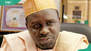 Ibrahim Shekarau's life story and what led him to quietly step back from the political frontline