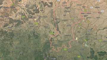 An sace amaryar mai gidan burodi a Katsina