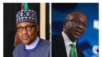 Federal government borrows N24 trillion from CBN in 10 months