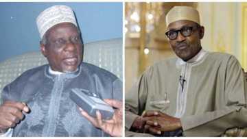 Why I didn't support Buhari's presidency, Yakasai finally opens up