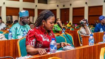 Ana so a karo kujeru 219 da za a ware domin mata zalla a Majalisun tarayya da dokoki