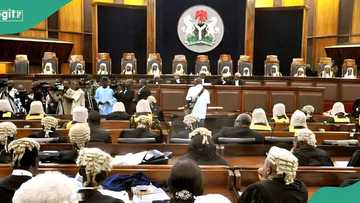 2027 election: Fresh court battles brew over party primaries, details emerge