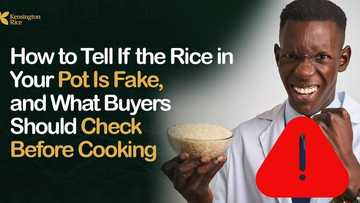 How to Tell If the Rice in Your Pot Is Fake, and What Buyers Should Check Before Cooking