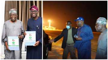 2023 presidency: Photos emerge as Tinubu returns from Saudi Arabia, picks up his nomination form