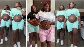 "How did it happen?" Ladies who are twins get pregnant at same time, show off big baby bumps in viral video