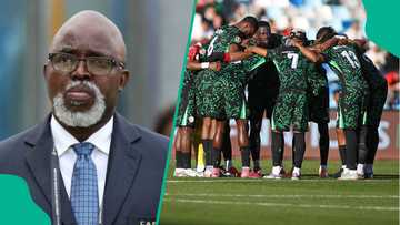 Amaju Pinnick speaks on Super Eagles salary crises, recommends action from NFF