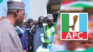 Hukumar BOSIEC ta sanar da sakamakon zaben kananan hukumomin jihar Borno