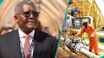 Dangote to begin crude oil production, reduces dependence on NNPC
