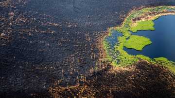 Arctic fires could release catastrophic amounts of C02: study