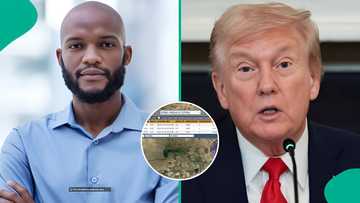 Data analyst points to satellite images of ISIS camp hit by US airstrikes in Sokoto, post trends