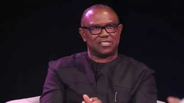 2023 election: Peter Obi reels out plans for bandits, agitator if elected president