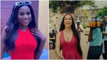 Dark skinned people do not need to be brainwashed to change their skin: Davido's Sophia slams Maria's advert