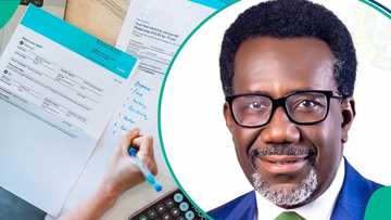 NAICOM publishes list of 43 approved insurance companies after recapitalisation