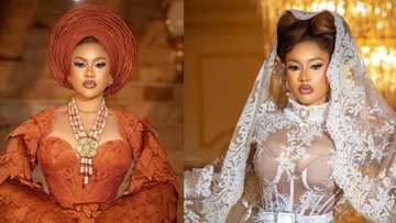 "Hook up girls won't like this": Reactions as BBNaija star Phyna tells ladies to stop depending on boyfriends for money