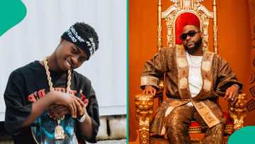 Peller shares real amount he made on TikTok live with Davido as he debunks $400k claim: “Smart guy”