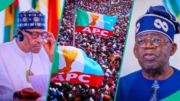 Buhari speaks out amid claims of being at war with Tinubu, APC: "We are not disturbed"