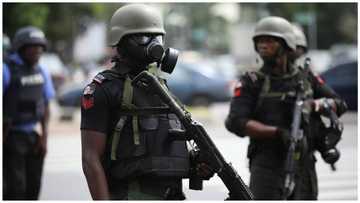Bandit who led Sunday’s attack along Abuja-Kaduna expressway shot dead