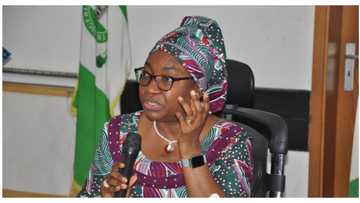 Just in: FG to engage civil servants in competency, qualification verification exercise