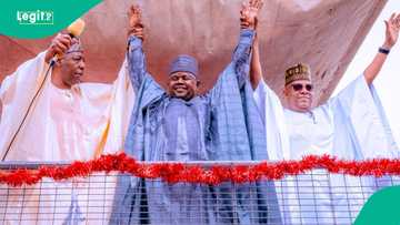 Breaking: Shettima leads APC members as Borno governorship candidate emerges