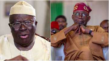 ‘Tinubu did not defeat Peter Obi,’ Afenifere leader Pa Adebanjo gives insight on 2023 presidential election