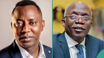 Falana demands immediate probe into Sowore’s detention, alleged torture by police
