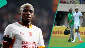 Victor Osimhen's injury record amid fans' claims he intentionally skips Super Eagles duty