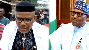 Muhimman batutuwa 10 da Buhari ya yi magana a kansu yayin hirar da aka yi da shi