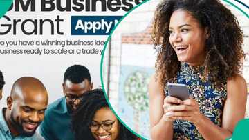 Skyewise Foundation opens ₦15m business grant for Nigerian SMEs and entrepreneurs