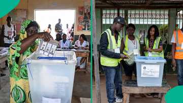 Full list of 47 elections set to hold from January to December in 2026, actual dates released