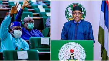 Rashawa da tsaro: Ƴan majalisar PDP sunyi barazanar tsige Buhari