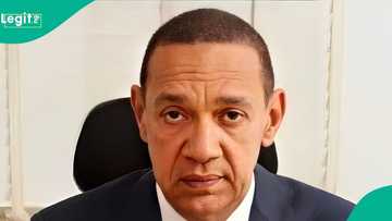 "Nigeria’ll be safe haven for survivors": Ex-Nigerian senator predicts World War III