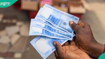 CBN sends message to Nigerians on how to handle naira notes