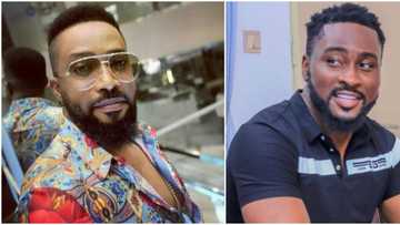 How is it different from politics: Frederick Leonard knocks BBNaija organisers over Pere and Angel's situation