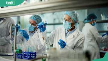 Medical laboratory scientist salary in Nigeria by roles and experience
