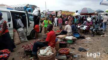 Manoman albasa a jihar Kano sun fara shiga damuwa kan yajin aikin kai kaya Kudu