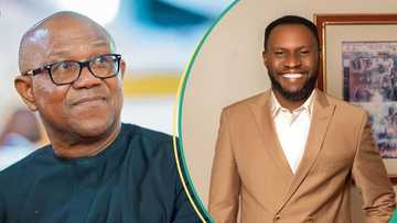 Peter Obi's key ally Balami dumps Labour Party, returns to APC